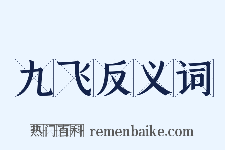 九飞反义词是什么意思的图片